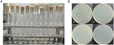 Inhibitory mechanism of quercetin on Alicyclobacillus acidoterrestris